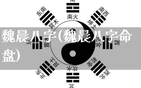 魏晨八字(魏晨八字命盘)_https://www.nbtfsb.com_易经起名_第1张