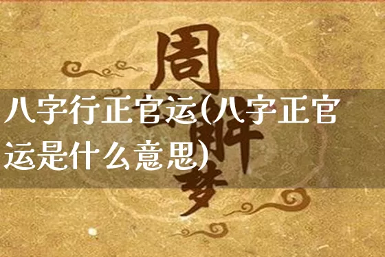 八字行正官运(八字正官运是什么意思)_https://www.nbtfsb.com_生肖星座_第1张