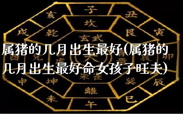 属猪的几月出生最好(属猪的几月出生最好命女孩子旺夫)_https://www.nbtfsb.com_生肖星座_第1张