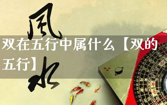 双在五行中属什么【双的五行】_https://www.nbtfsb.com_国学动态_第1张
