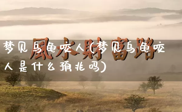 梦见乌龟咬人(梦见乌龟咬人是什么预兆吗)_https://www.nbtfsb.com_五行风水_第1张