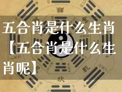 五合肖是什么生肖【五合肖是什么生肖呢】_https://www.nbtfsb.com_道源国学_第1张