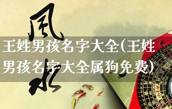 王姓男孩名字大全(王姓男孩名字大全属狗免费)_https://www.nbtfsb.com_五行风水_第1张