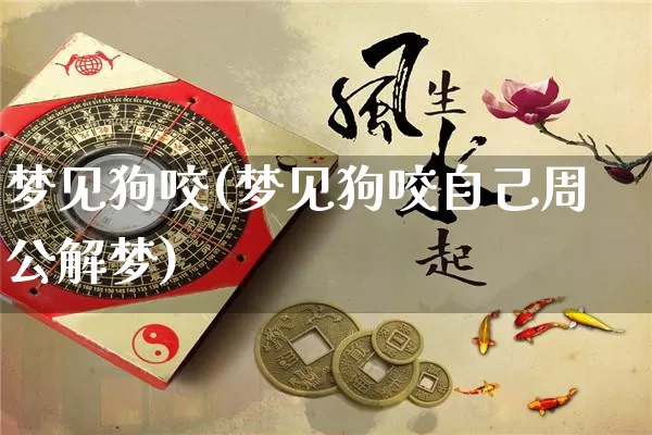 梦见狗咬(梦见狗咬自己周公解梦)_https://www.nbtfsb.com_国学动态_第1张