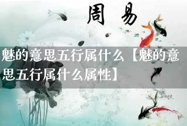 魅的意思五行属什么【魅的意思五行属什么属性】_https://www.nbtfsb.com_生肖星座_第1张