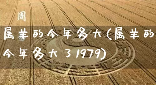 属羊的今年多大(属羊的今年多大了1979)_https://www.nbtfsb.com_道源国学_第1张