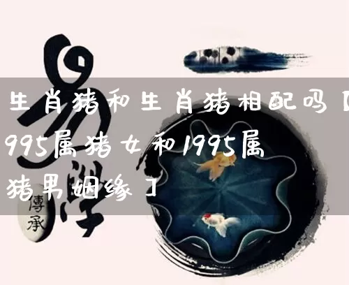 生肖猪和生肖猪相配吗【1995属猪女和1995属猪男姻缘】_https://www.nbtfsb.com_八字算命_第1张