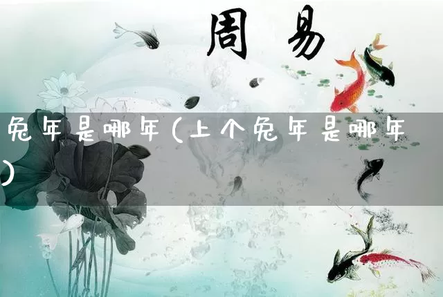 兔年是哪年(上个兔年是哪年)_https://www.nbtfsb.com_易经起名_第1张