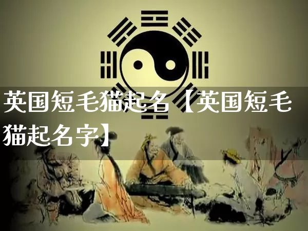 英国短毛猫起名【英国短毛猫起名字】_https://www.nbtfsb.com_五行风水_第1张
