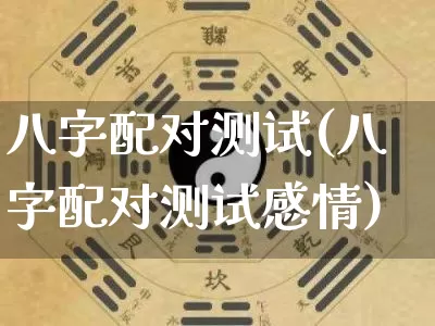 八字配对测试(八字配对测试感情)_https://www.nbtfsb.com_易经起名_第1张