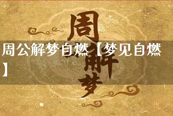 周公解梦自燃【梦见自燃】_https://www.nbtfsb.com_国学动态_第1张