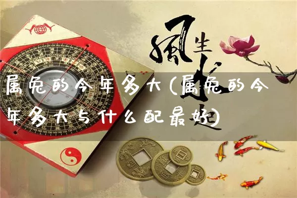 属兔的今年多大(属兔的今年多大与什么配最好)_https://www.nbtfsb.com_生肖星座_第1张