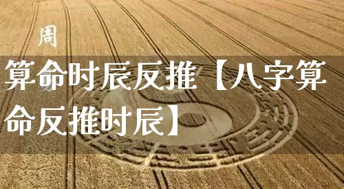 算命时辰反推【八字算命反推时辰】_https://www.nbtfsb.com_八字算命_第1张