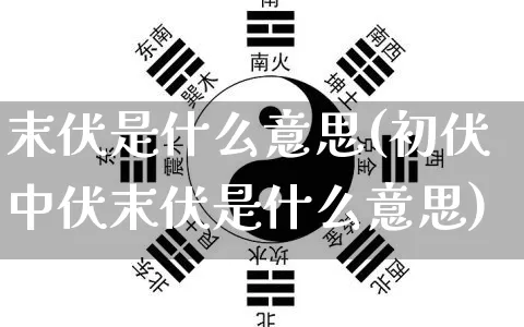 末伏是什么意思(初伏中伏末伏是什么意思)_https://www.nbtfsb.com_周公解梦_第1张
