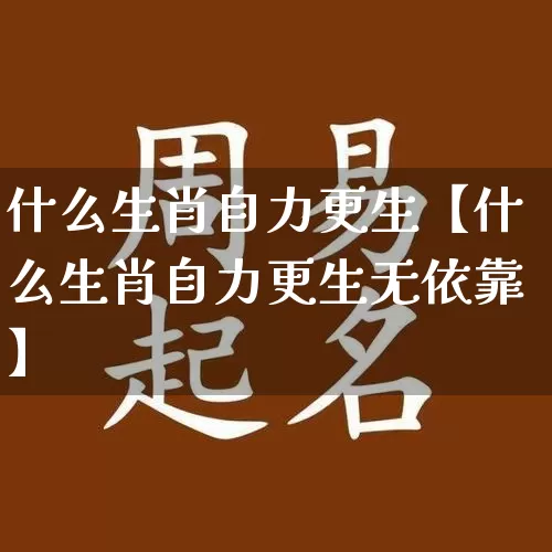 什么生肖自力更生【什么生肖自力更生无依靠】_https://www.nbtfsb.com_八字算命_第1张
