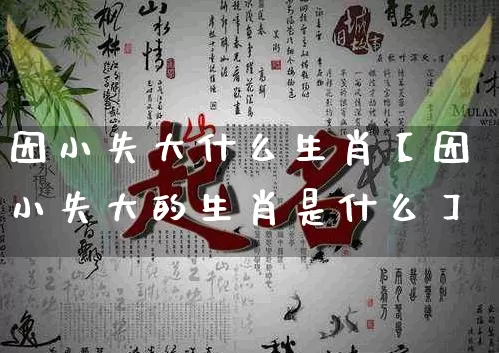 因小失大什么生肖【因小失大的生肖是什么】_https://www.nbtfsb.com_易经起名_第1张