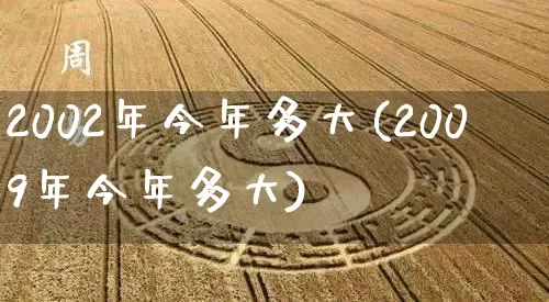2002年今年多大(2009年今年多大)_https://www.nbtfsb.com_道源国学_第1张