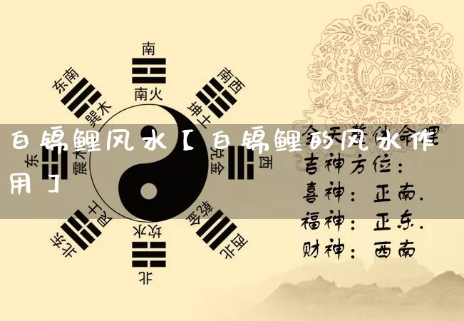 白锦鲤风水【白锦鲤的风水作用】_https://www.nbtfsb.com_道源国学_第1张