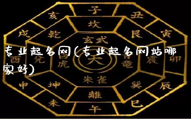 专业起名网(专业起名网站哪家好)_https://www.nbtfsb.com_道源国学_第1张