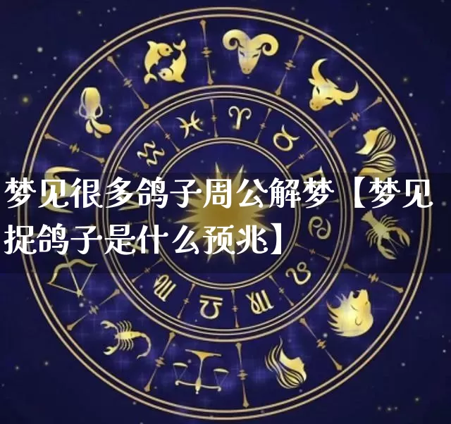 梦见很多鸽子周公解梦【梦见捉鸽子是什么预兆】_https://www.nbtfsb.com_周公解梦_第1张