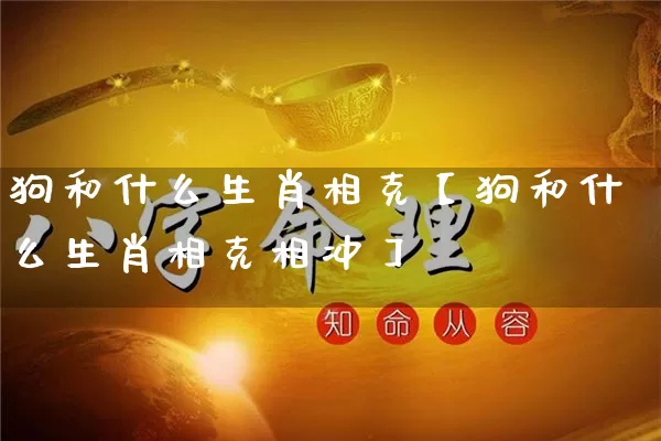 狗和什么生肖相克【狗和什么生肖相克相冲】_https://www.nbtfsb.com_八字算命_第1张
