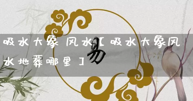 吸水大象 风水【吸水大象风水地葬哪里】_https://www.nbtfsb.com_道源国学_第1张