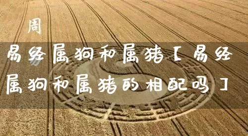 易经属狗和属猪【易经属狗和属猪的相配吗】_https://www.nbtfsb.com_道源国学_第1张