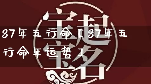 87年五行命【87年五行命年运势】_https://www.nbtfsb.com_易经起名_第1张