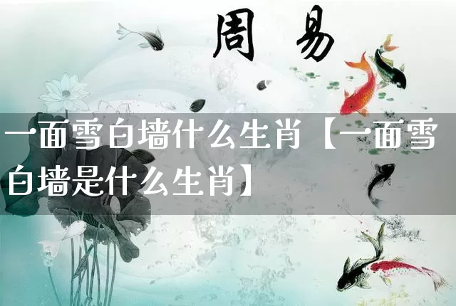 一面雪白墙什么生肖【一面雪白墙是什么生肖】_https://www.nbtfsb.com_五行风水_第1张