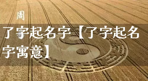 了字起名字【了字起名字寓意】_https://www.nbtfsb.com_周公解梦_第1张