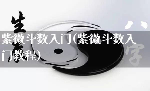 紫微斗数入门(紫微斗数入门教程)_https://www.nbtfsb.com_易经起名_第1张