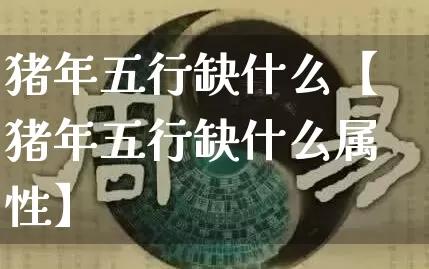 猪年五行缺什么【猪年五行缺什么属性】_https://www.nbtfsb.com_道源国学_第1张