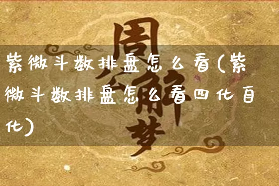 紫微斗数排盘怎么看(紫微斗数排盘怎么看四化自化)_https://www.nbtfsb.com_五行风水_第1张