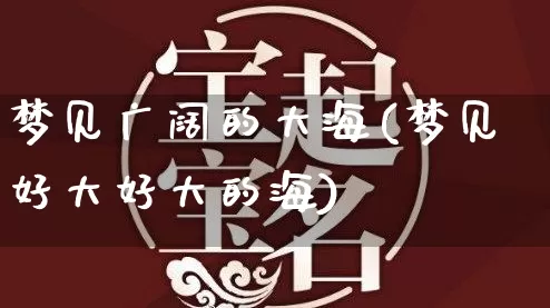梦见广阔的大海(梦见好大好大的海)_https://www.nbtfsb.com_八字算命_第1张