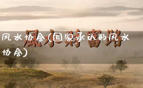 风水协会(国家承认的风水协会)_https://www.nbtfsb.com_五行风水_第1张