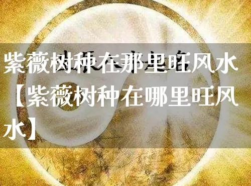 紫薇树种在那里旺风水【紫薇树种在哪里旺风水】_https://www.nbtfsb.com_周公解梦_第1张