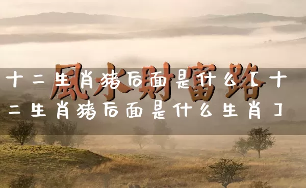 十二生肖猪后面是什么【十二生肖猪后面是什么生肖】_https://www.nbtfsb.com_八字算命_第1张