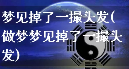 梦见掉了一撮头发(做梦梦见掉了一撮头发)_https://www.nbtfsb.com_国学动态_第1张
