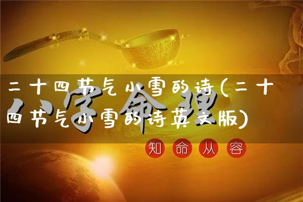 二十四节气小雪的诗(二十四节气小雪的诗英文版)_https://www.nbtfsb.com_易经起名_第1张