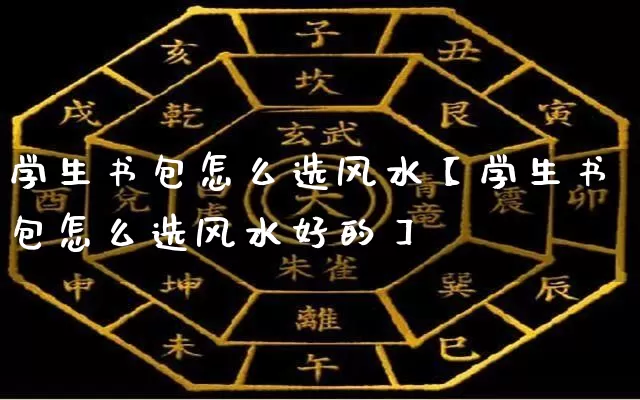 学生书包怎么选风水【学生书包怎么选风水好的】_https://www.nbtfsb.com_八字算命_第1张