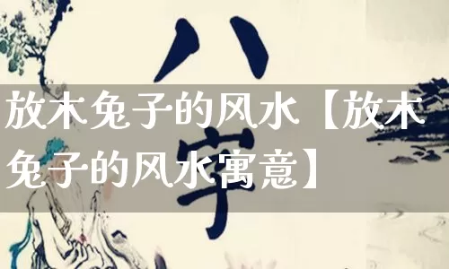 放木兔子的风水【放木兔子的风水寓意】_https://www.nbtfsb.com_易经起名_第1张