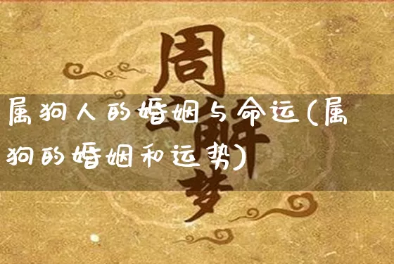属狗人的婚姻与命运(属狗的婚姻和运势)_https://www.nbtfsb.com_国学动态_第1张