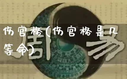 伤官格(伤官格是几等命)_https://www.nbtfsb.com_周公解梦_第1张