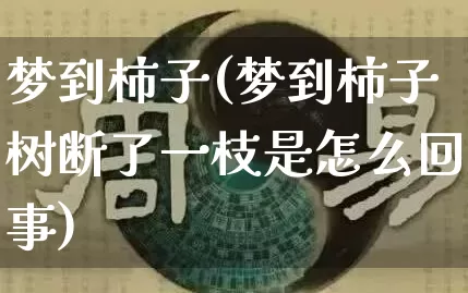 梦到柿子(梦到柿子树断了一枝是怎么回事)_https://www.nbtfsb.com_国学动态_第1张