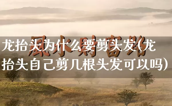 龙抬头为什么要剪头发(龙抬头自己剪几根头发可以吗)_生肖星座_第1张_易东行 龙抬头为什么要剪头发(龙抬头自己剪几根头发可以吗)_https://www.nbtfsb.com_生肖星座_第1张