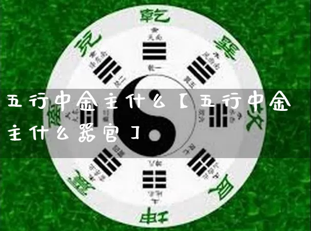 五行中金主什么【五行中金主什么器官】_https://www.nbtfsb.com_易经起名_第1张