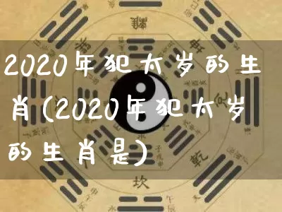 2020年犯太岁的生肖(2020年犯太岁的生肖是)_https://www.nbtfsb.com_易经起名_第1张