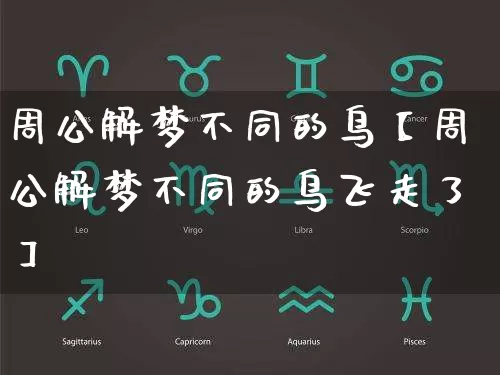 周公解梦不同的鸟【周公解梦不同的鸟飞走了】_https://www.nbtfsb.com_国学动态_第1张
