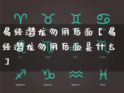 易经潜龙勿用后面【易经潜龙勿用后面是什么】_https://www.nbtfsb.com_周公解梦_第1张