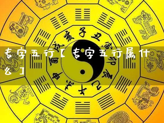 专字五行【专字五行属什么】_https://www.nbtfsb.com_周公解梦_第1张